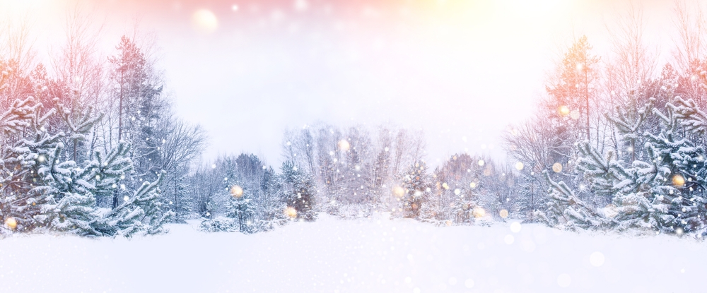 A winter wonderland of snow and lights amongst the trees. - Boyd GM Oxford, NC