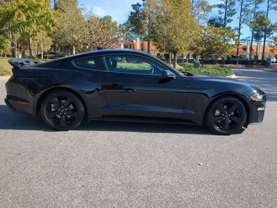 2023 Ford Mustang EcoBoost