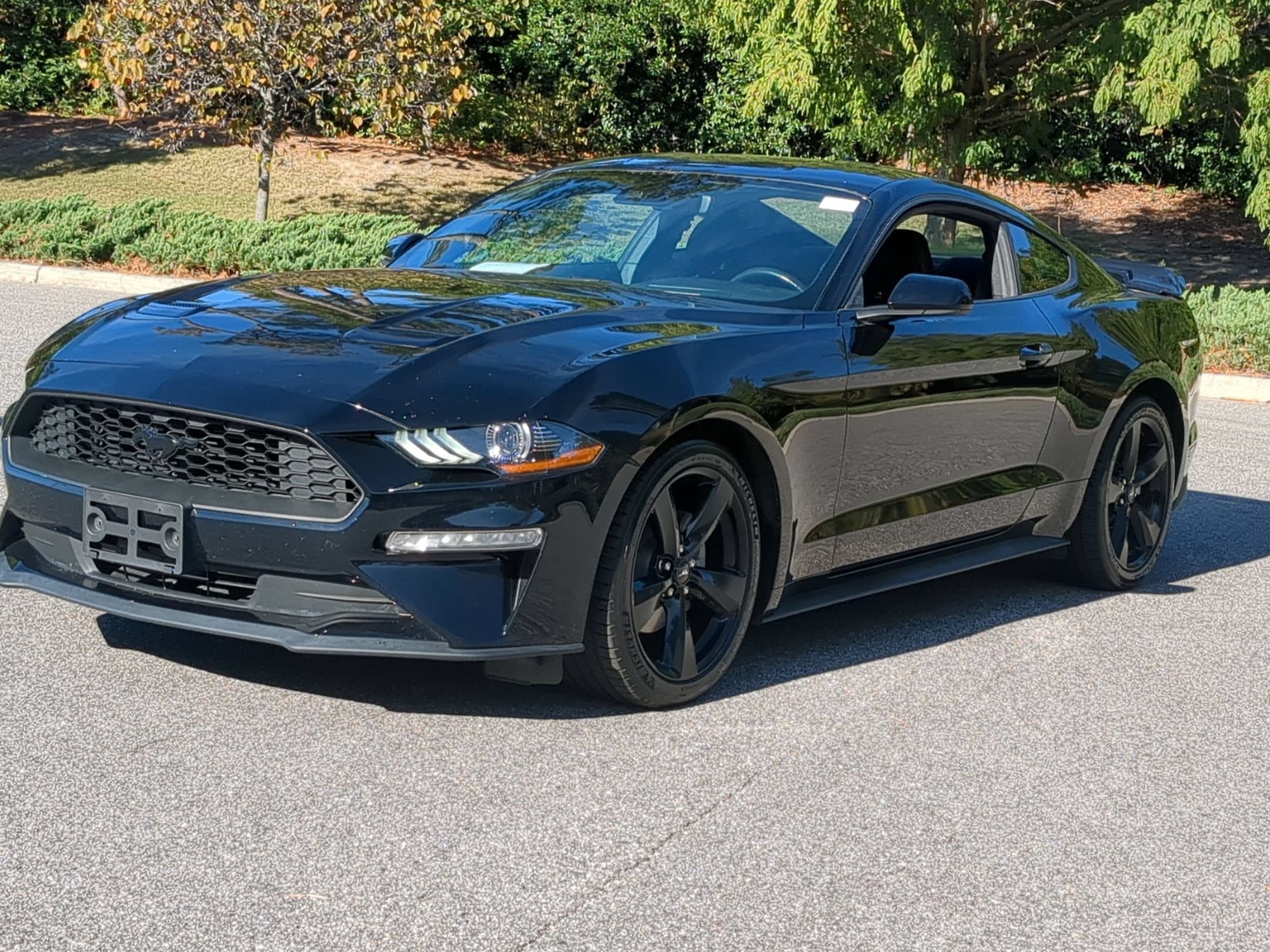 2023 Ford Mustang EcoBoost