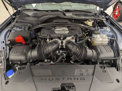 2024 Ford Mustang Dark Horse