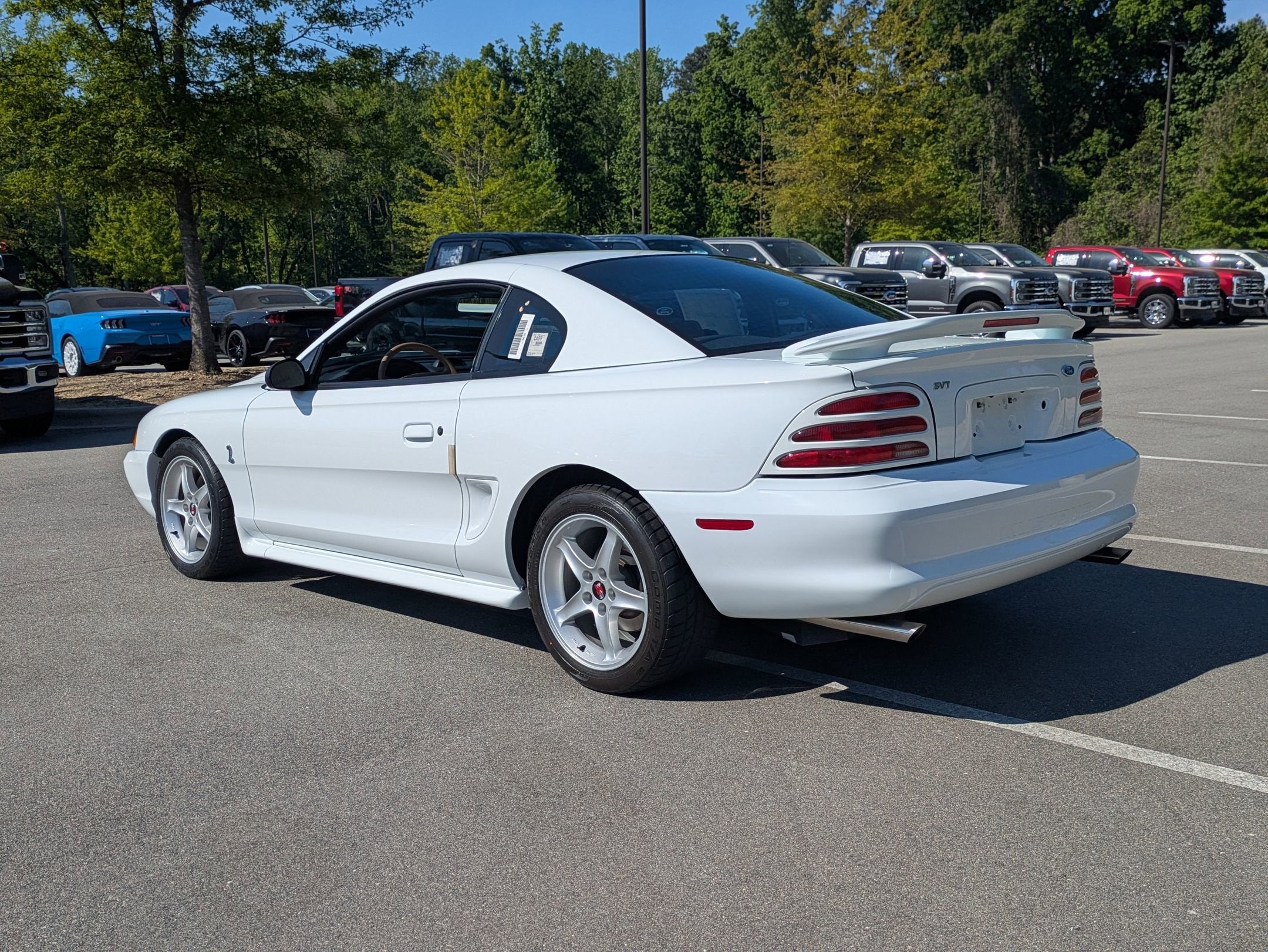 1995 Ford Mustang SVT Cobra R