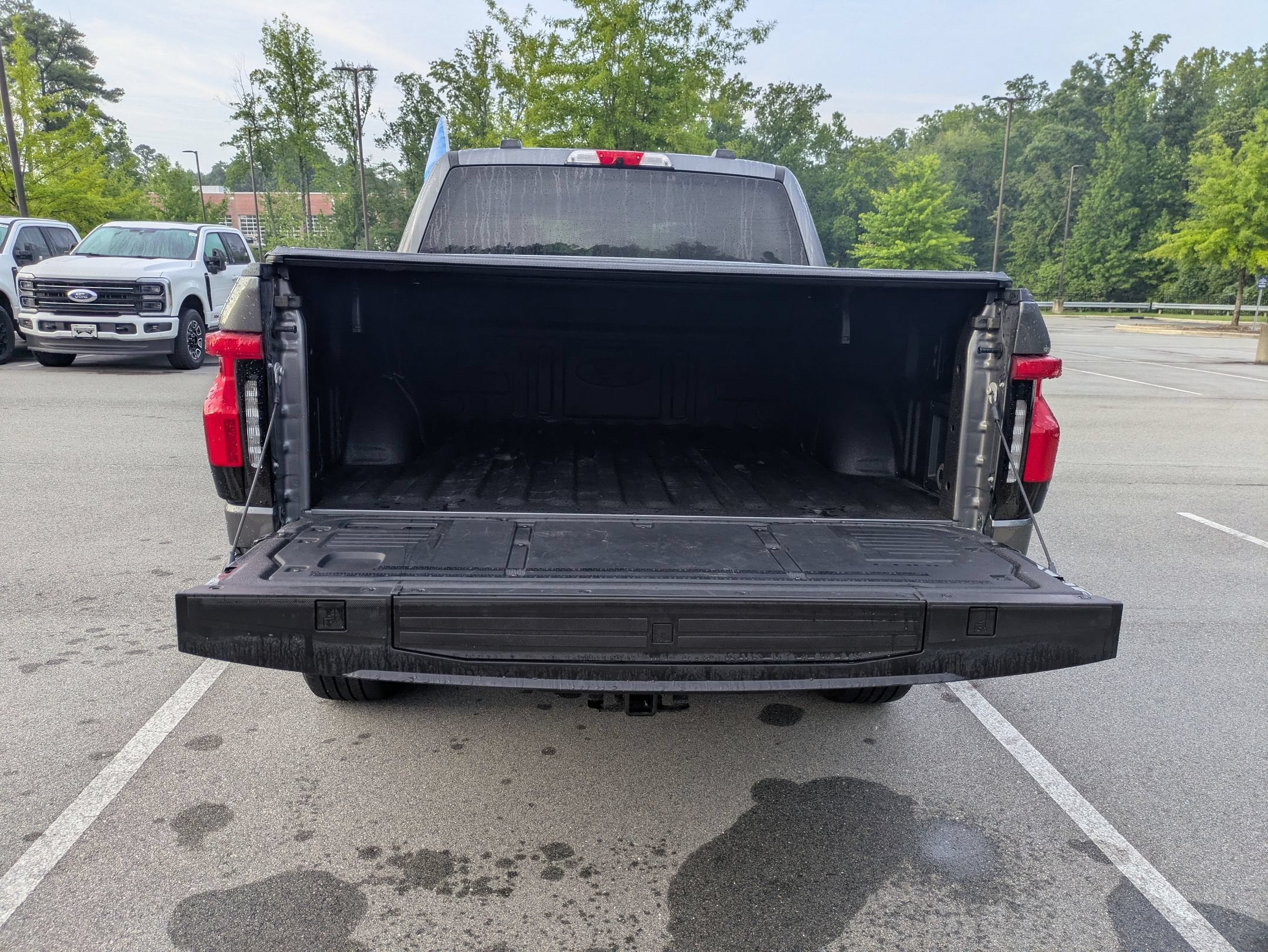 2025 Ford F-150 Lightning Flash