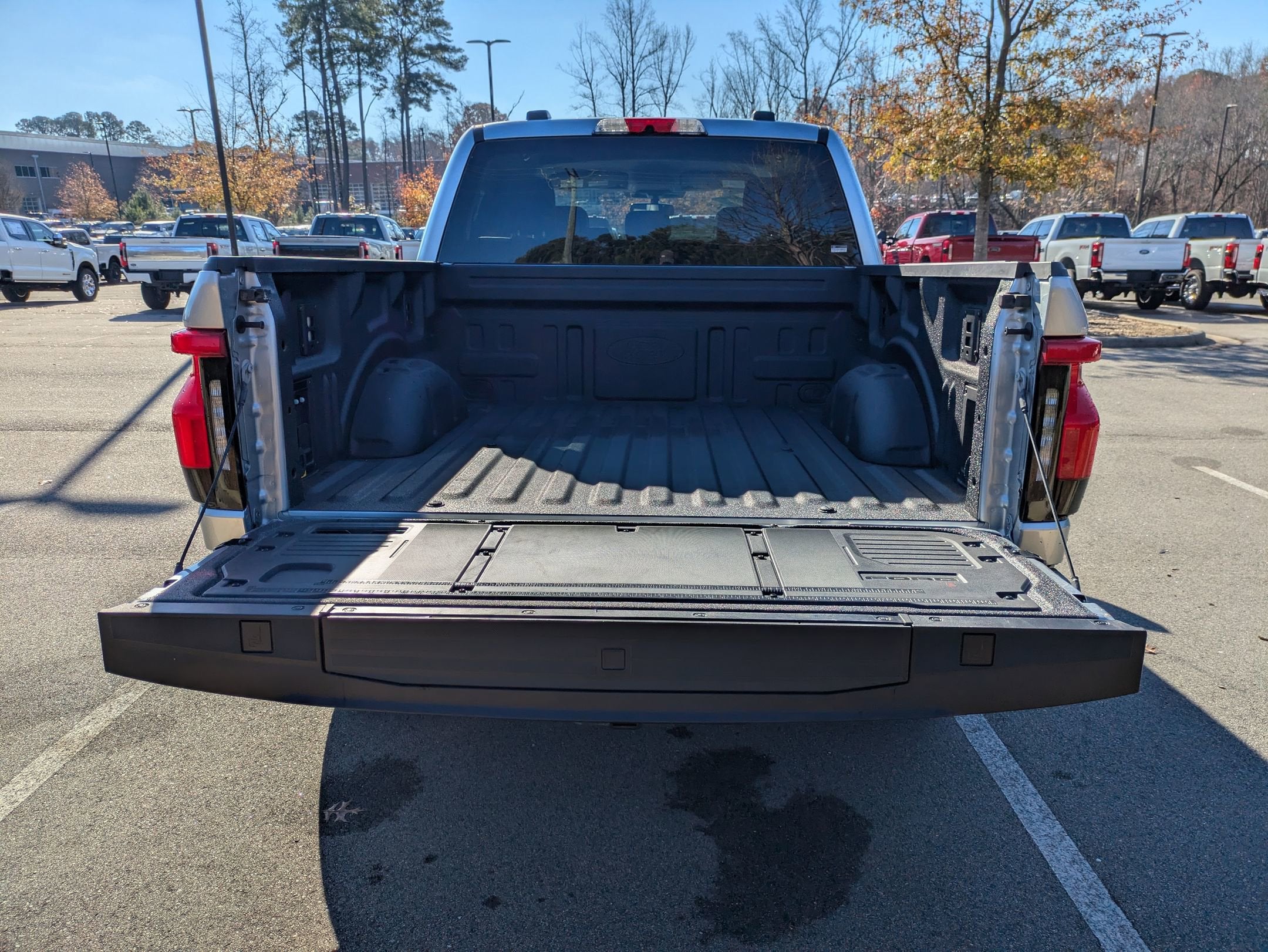 2025 Ford F-150 Lightning Flash