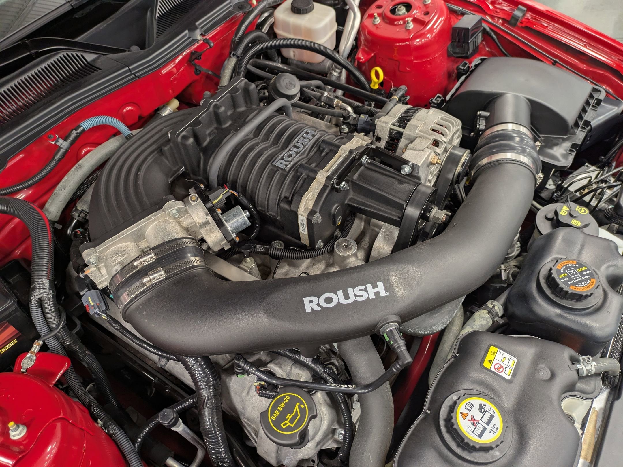 2008 Ford Mustang Roush Stage 3 Carl Edwards Edition